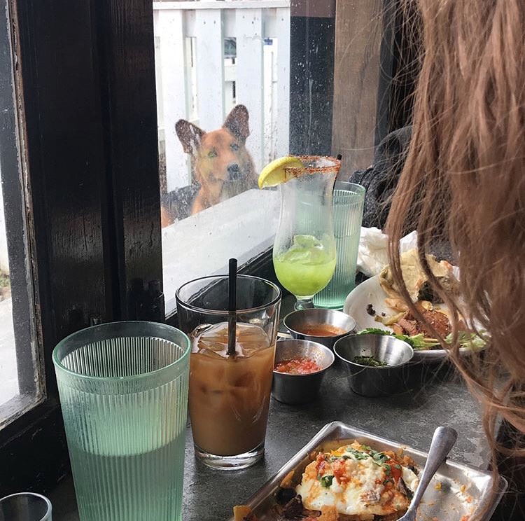 WHEN YOU’RE HANGRY &amp; YOUR BESTIES ARE BRUNCHING AWAY. Seriously, don’t let your #fomo get the best of you. We’ll be serving delish breakfast fare tomorrow, 11-3pm. #sundayfunday
