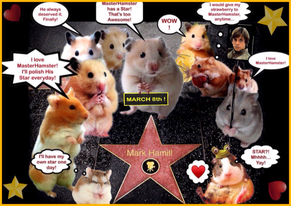 GabrielleOrlita's tweet photo. "MasterHamster is getting the STAR βοΈ! A Star,getting a Star-how awesome!"ππΉOn #TheHollywoodWalkOfFame! March 8th-if you're #HamillHamster,you're there-even if only in spirit&β₯οΈ!#HamstersMust!(I'm so happy I'm making goofy pics-hope you don't mind?π) @HamillHimself β₯οΈ https://t.co/2vt6iT43Te
