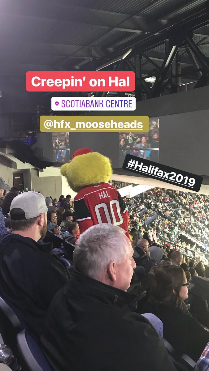 alicoo500's tweet photo. @HFXMooseheads #Halifax2019 https://t.co/SHDpiselYJ