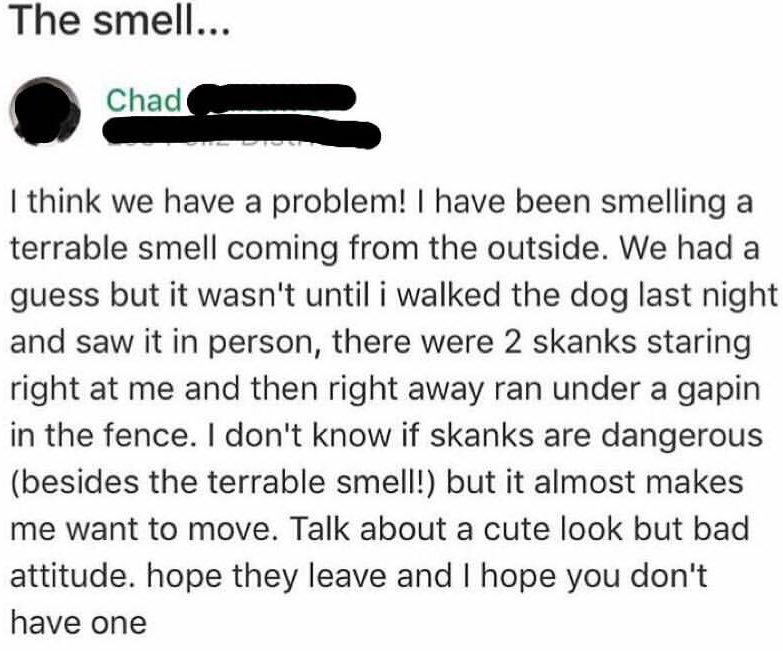 bestofnextdoor's tweet photo. Chad found some skanks, you guys... https://t.co/yOk0cLlGUB