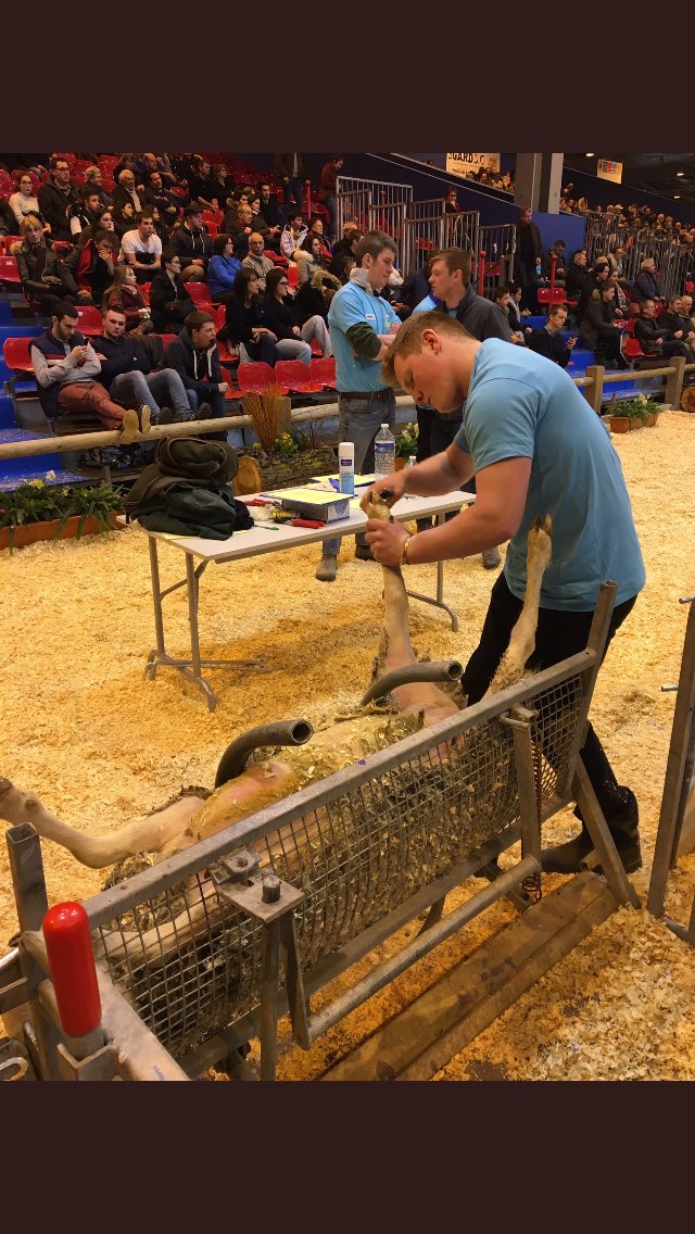 So apparently im now 2018 European young shepherd of the year. Big thanks to the organisers. Its been an hel of an experience. #youngsheperherd #Cymruambyth