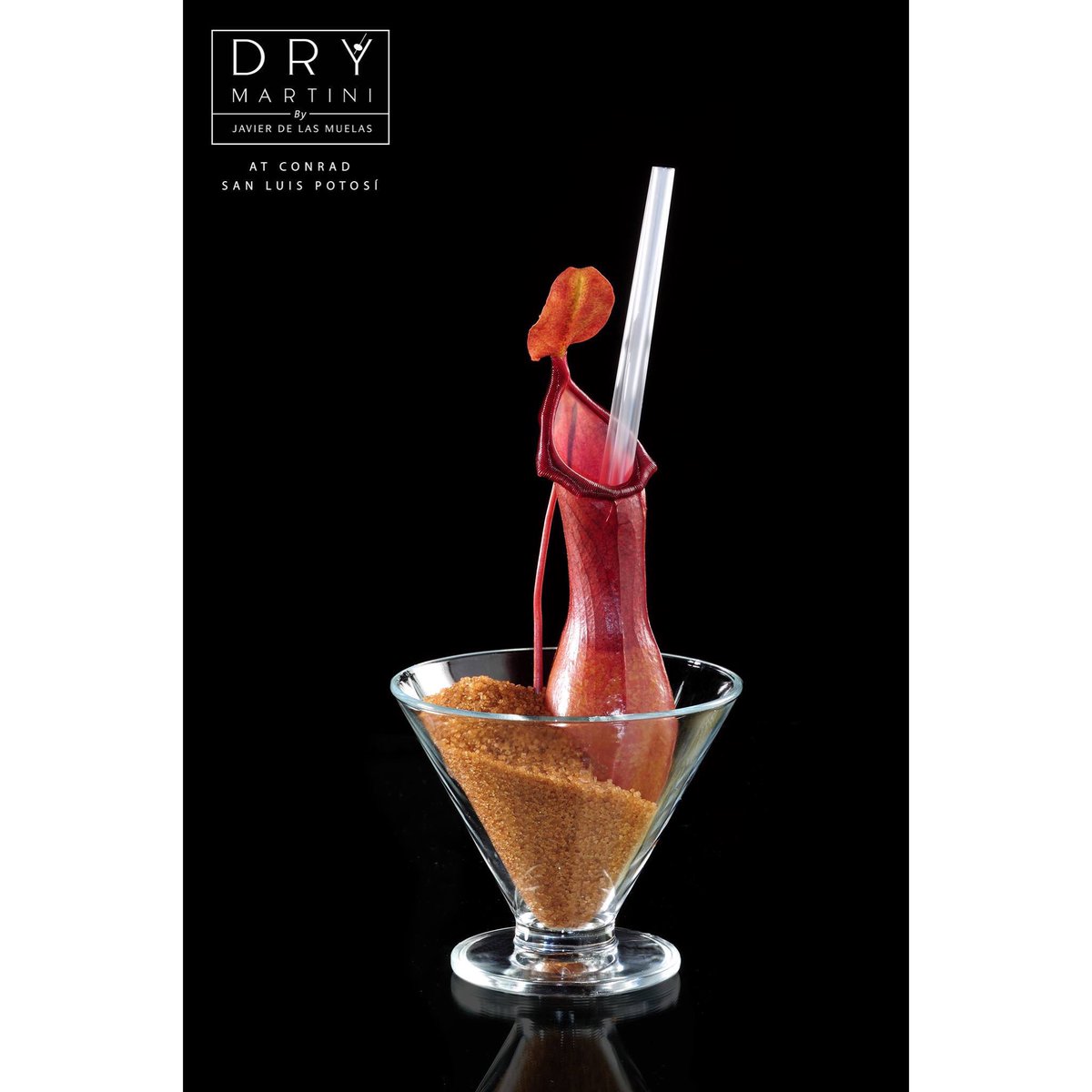 DryMartiniMx's tweet photo. Algo nuevo, algo diferente, un sabor que dará un giro diferente a todo lo que conoces 

#DryMartiniMX #DryMartiniSLP #SanLuisPotosi #SLP #JavierDeLasMuelas https://t.co/SmPIWnbaML