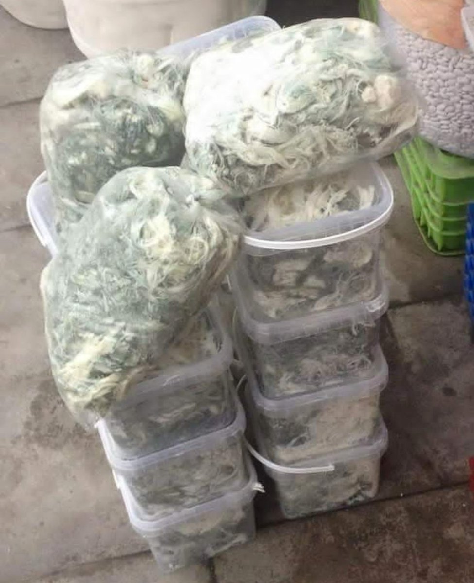 Vitamin deposu kerti lor... #bayburt