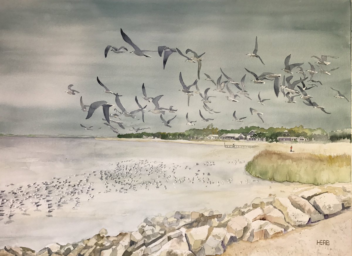 herbwilley's tweet photo. Fineart comforts and inspires”
It’s Not About The Birds 🐦
Transparent watercolor
#ItsNotAboutTheBirds
#BirdsofBeachBlvd #BayStLouisMS
#Seagulls #WashingtonSt
#HerbWilley #HERB #fineart #art #fineartist #transparentwatercolors #paintings #artcollect #artcollecting #artcollectors https://t.co/pzFMq5OYW9