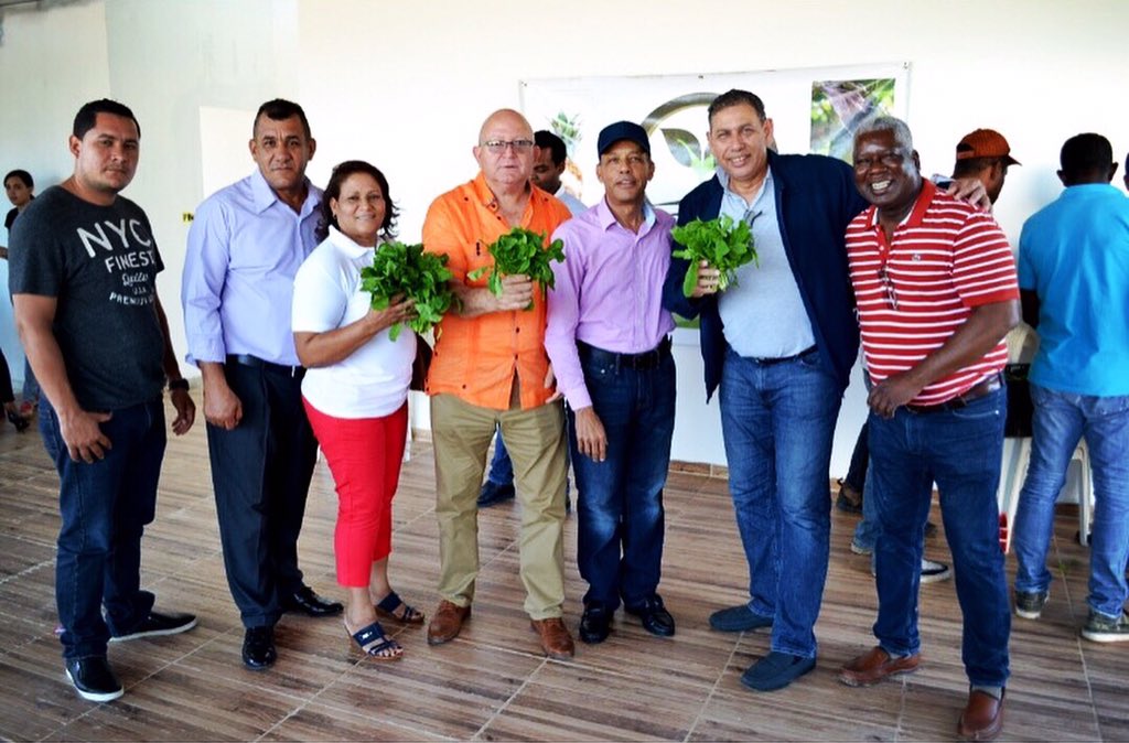 apafruv's tweet photo. ¿Sabías que la Rúcula es una de las verduras más completas para cuidar de tu salud? Además de ser beneficiosa para nuestro sistema cardiovascular, también posee propiedades anticancerígenas. Ver mas: https://t.co/dg1jdzWoPk
_____________________
#apafruv 🌱 #apafruvagregavalor 💛 https://t.co/T2VbGBZZMN