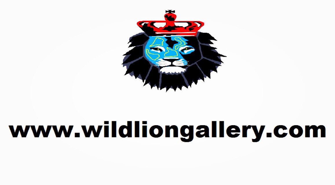 Go now to wildliongallery.com #FIBAWC #ThisIsMyHouse #WinterOlympics #CANGER #ClosingCeremony #USAvsCAN #art #artsakh #artnews #artnet #artspeaks #artwork #artworld #color #ColorsTamil #colors #colorlovers #model #205takeover #adventure #ArtMarket #gallery #galleries #Artista