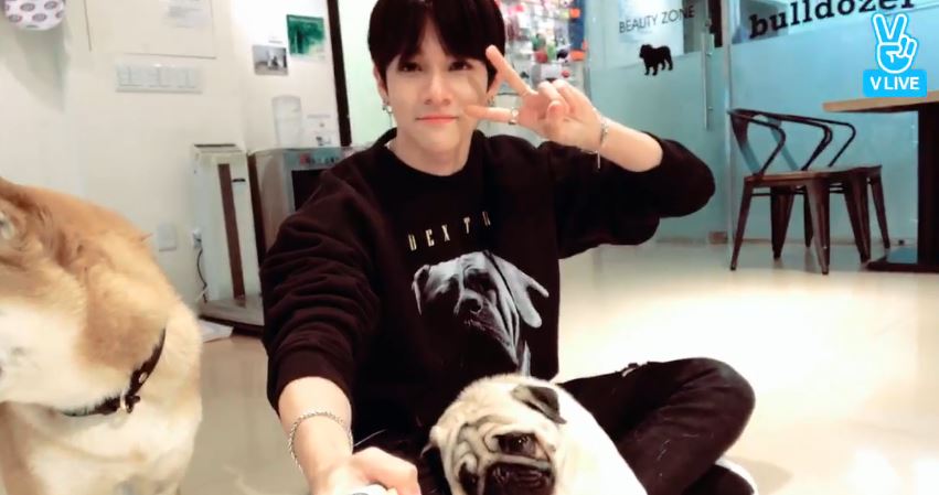kimSamuel_Pics's tweet image. Samuel on V LIVE ♥ Never forget his cutie dogs *-*
#김사무엘 #KIMSAMUEL #SAMUEL #SIXTEEN #PUNCH #BRAVEPUNCH  #사무엘1등  #프로듀스101시즌2  #프로듀스101 #SAMUEL_SIXTEEN #Smile #handsome