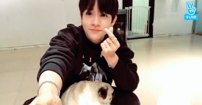 kimSamuel_Pics's tweet image. Samuel on V LIVE ♥ Never forget his cutie dogs *-*
#김사무엘 #KIMSAMUEL #SAMUEL #SIXTEEN #PUNCH #BRAVEPUNCH  #사무엘1등  #프로듀스101시즌2  #프로듀스101 #SAMUEL_SIXTEEN #Smile #handsome
