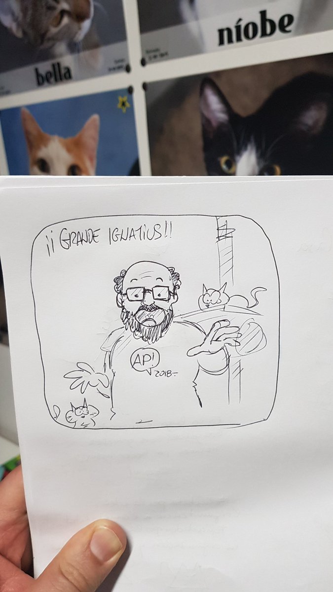 Gracias a <a href="/lagatoteca/">La Gatoteca</a> por invitarme a actuar esta noche en el FESTIMIAU compitiendo por la atención del público junto a todos los demás gatos.