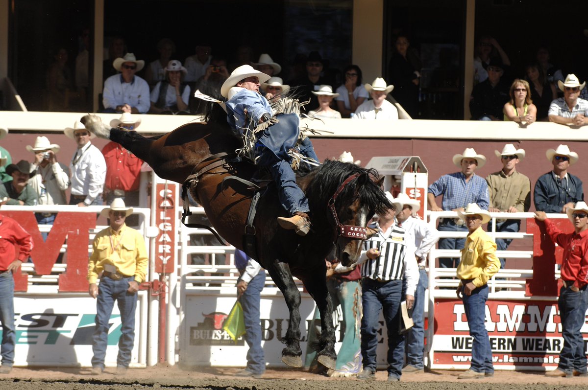 Did you know that <a href="/CS_Rodeo/">CS Rodeo</a> G-65 “Grated Coconut” was crowned the rodeo’s Top Bareback horse 5 times and world champion 6 times?
