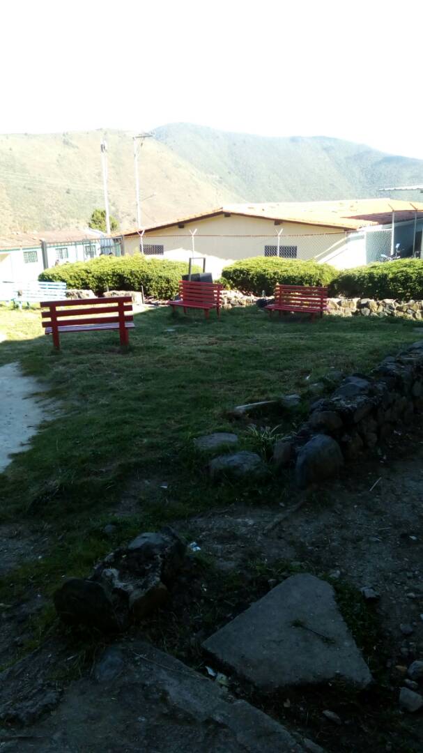 ribastachira's tweet photo. #EstaEsMiEscuela @ribastachira activa Escuela Alberto Adriani y El Surural @JaRamos15 @JauaMiranda @vencedor_ribas https://t.co/wtezPBoCkU