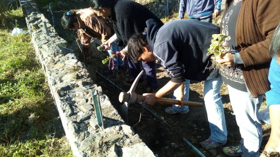 ribastachira's tweet photo. #EstaEsMiEscuela @ribastachira activa Escuela Alberto Adriani y El Surural @JaRamos15 @JauaMiranda @vencedor_ribas https://t.co/wtezPBoCkU