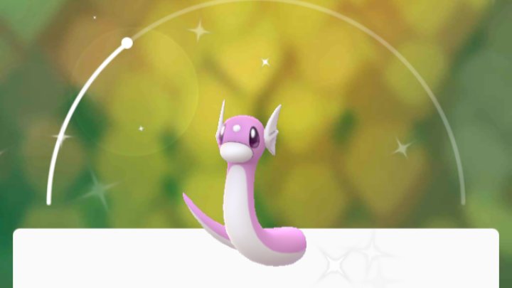 色違いミニリュウ Twitter Search