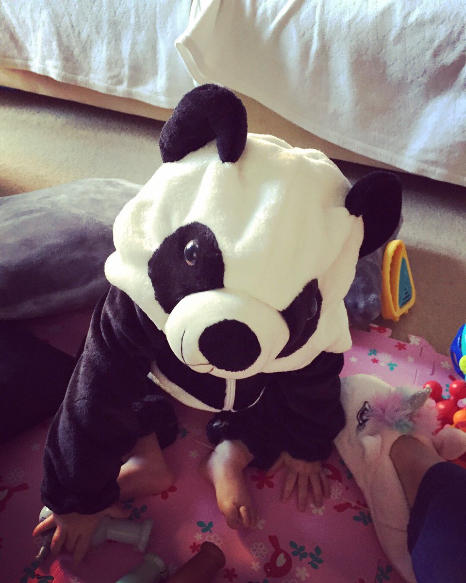 DaFrosts's tweet image. My little panda 🐼 #myrainbow #sqwudge