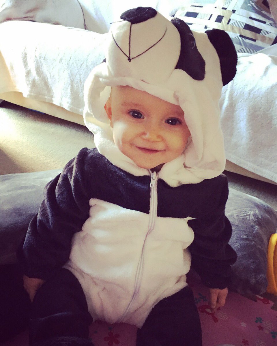 DaFrosts's tweet image. My little panda 🐼 #myrainbow #sqwudge