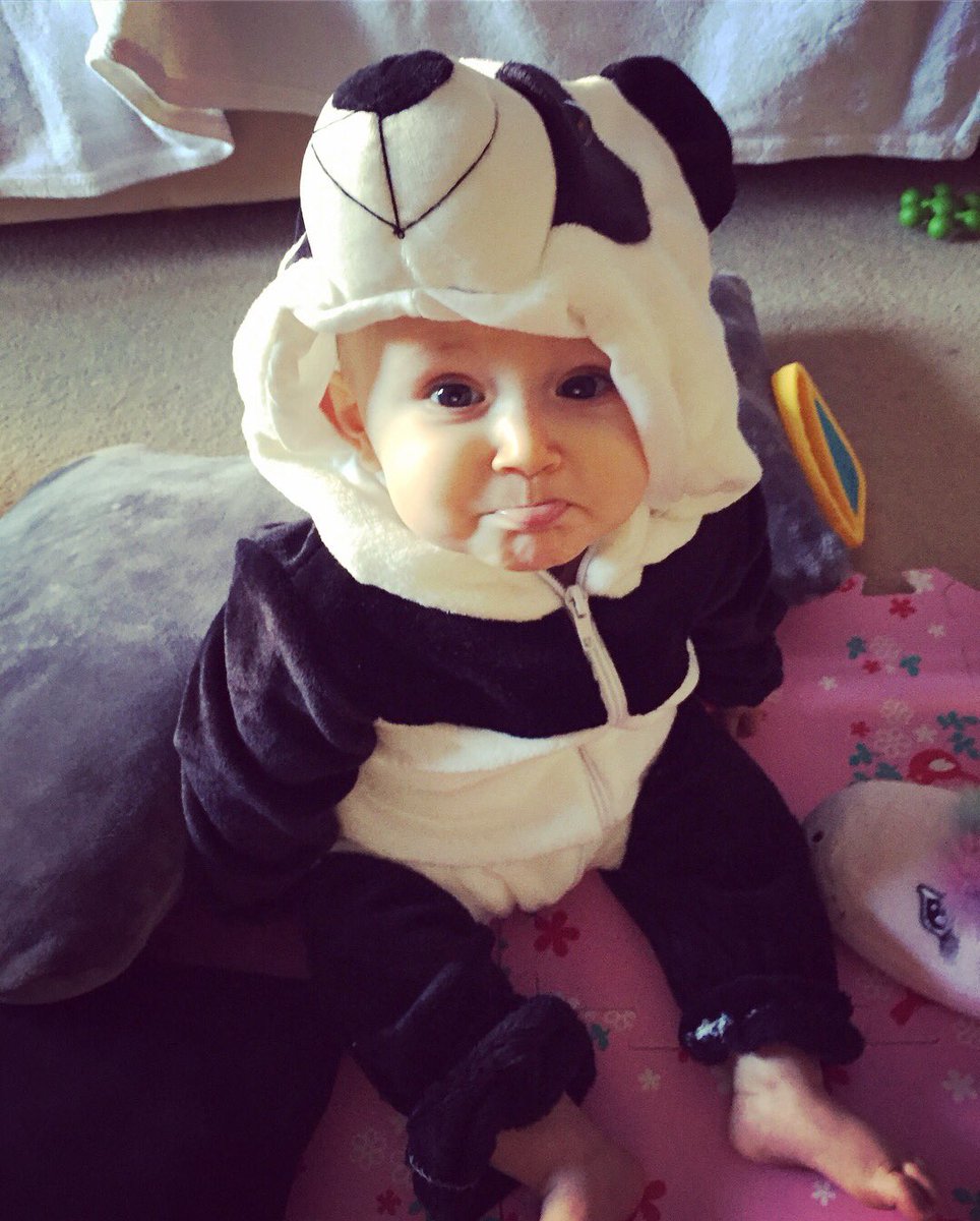 DaFrosts's tweet image. My little panda 🐼 #myrainbow #sqwudge