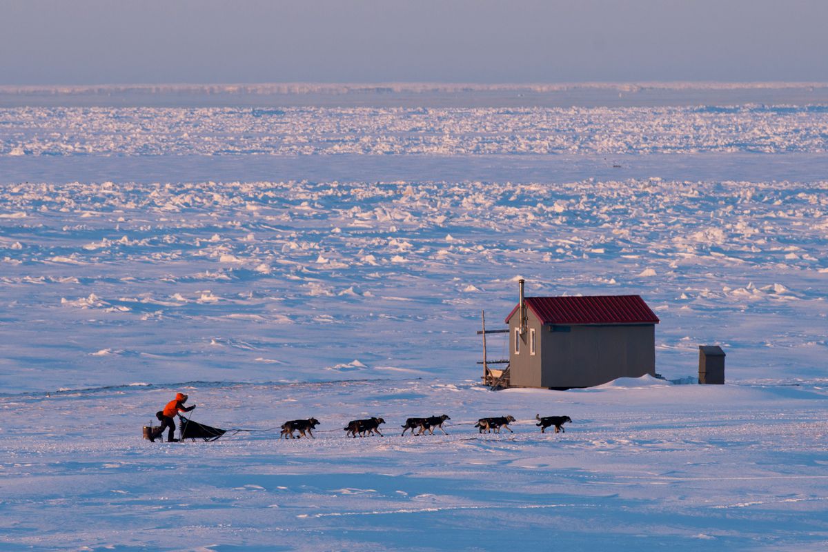 ADNIditarod's tweet photo. When will the 2018 Iditarod start? (And answers to 15 other race questions) https://t.co/r86Vm2JJQn https://t.co/joF9CaYOTk