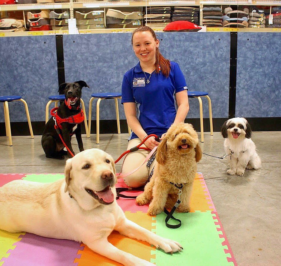 HeatherLynn406's tweet photo. I haven’t had to work in 12 years. #lovewhatyoudo #itsapassion #dogtrainer #areatrainer @PetSmart @PetSmartAE https://t.co/g2uESQUDdu