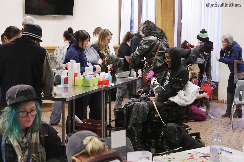 Homeless people with pets are usually criticized and sometimes turned away from shelters. But that’s starting to change. The Doney Clinic hosted at Union Gospel Mission has been helping pets of homeless individuals for free since 1985. st.news/2sQoq6Z