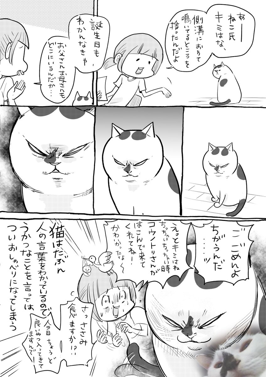 犬と猫どっちも飼ってると、おしゃべりして毎日たのしい 