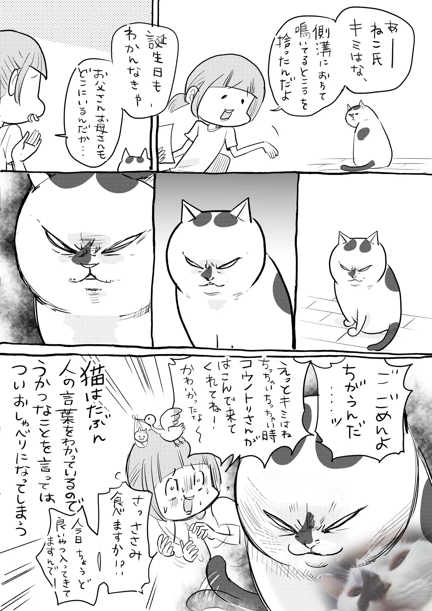 毎週の楽しみになりそう？犬と猫を両方飼ってるマンガ♪