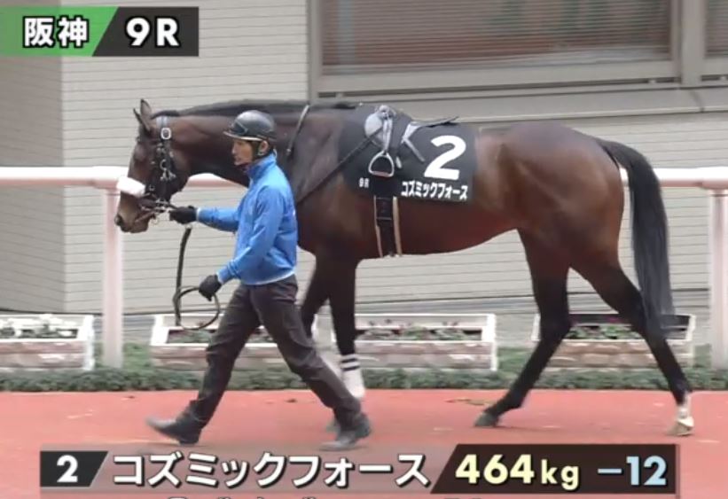LongBallToNoOne's tweet photo. Exciting 3yo colts 2. COSMIC FORCE (King Kamehameha) 7. KITANO COMMANDEUR (Deep Impact) +7. KT CLEVER (Harbinger x Molto Felice (Deep Impact)) parade for the 2200m Sumire Stakes at Hanshin
KItano CCommandeur was a 2016 SS ๏ฟฅ205,200,000 yearling, little brother to Denim and Ruby https://t.co/jpnRH7o0qi