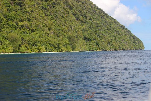 RajaAmpatBiz's tweet photo. RAJA AMPAT BIZ
Private Tour | https://t.co/yBfeNq28R0
Butuh Vitamin Sea??
Ke Raja Ampat aja... #rajaampat #touroperator #rajaampatbiz #indonesia #indonesiakaya #wonderfulindonesia#wayag #pianemo #kabui #waisai #waigeo #painemo #viptour #git #fit #pri… https://t.co/2CCzR13QKI https://t.co/INxvvoFRRJ