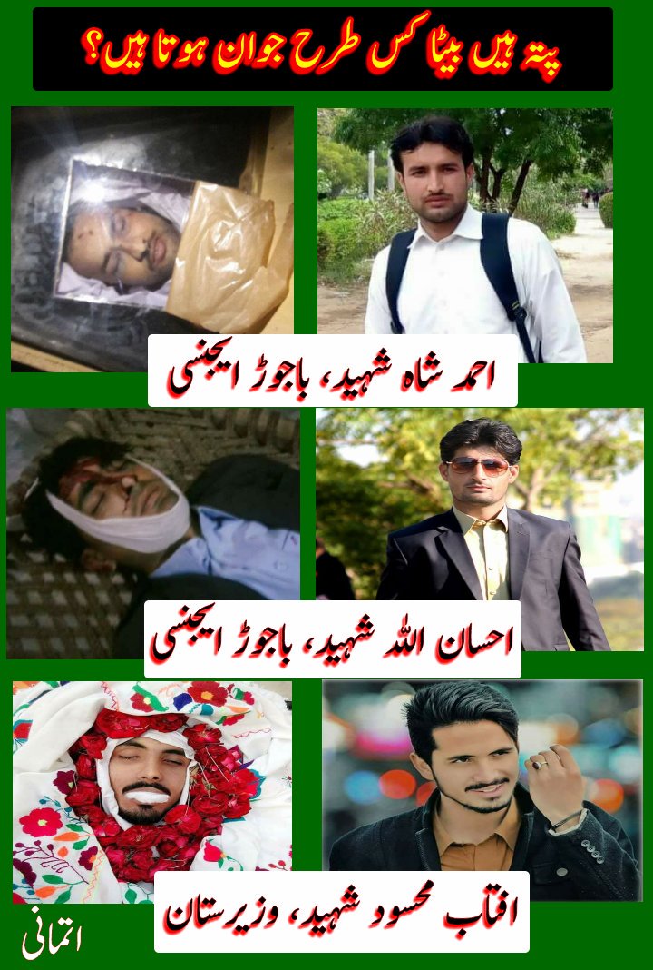 MisbahUtmani's tweet photo. Zamung shahedddan .aw na maluma qatelan https://t.co/TzcqLaSulm