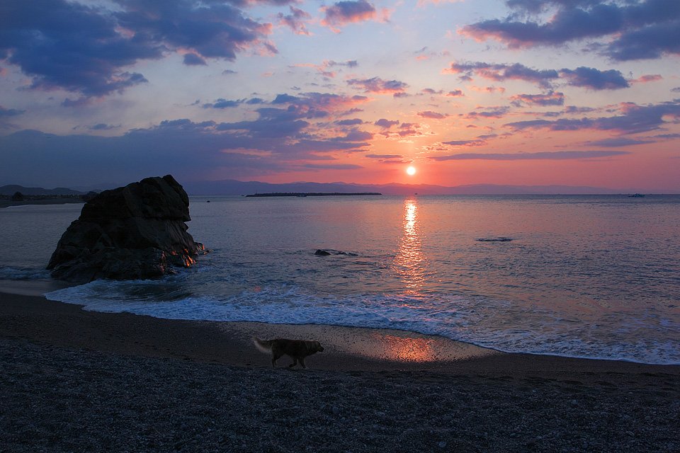 atelier_shirabe's tweet photo. 夜明けの桂浜(高知県)
#T151 #ゴールデンレトリバー #愉しき日々 https://t.co/CyLrgfkPTc
