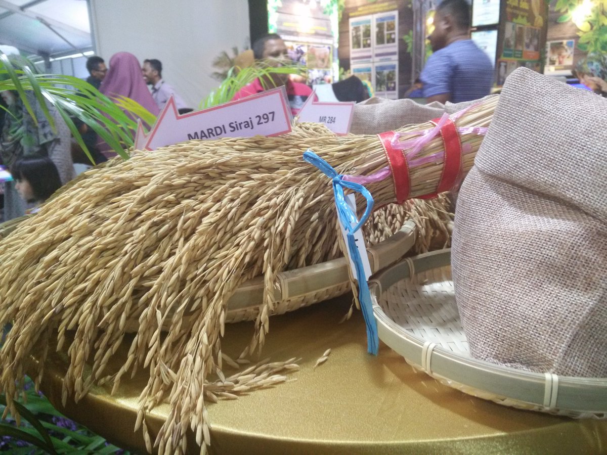 bme_mada's tweet photo. Jom ke Booth MADA di kluster 15 Agro Kedah..macam-macam ada ni. #pakatpakatmai
#bmemada
#madamabeles https://t.co/rMXzqBV0Ue