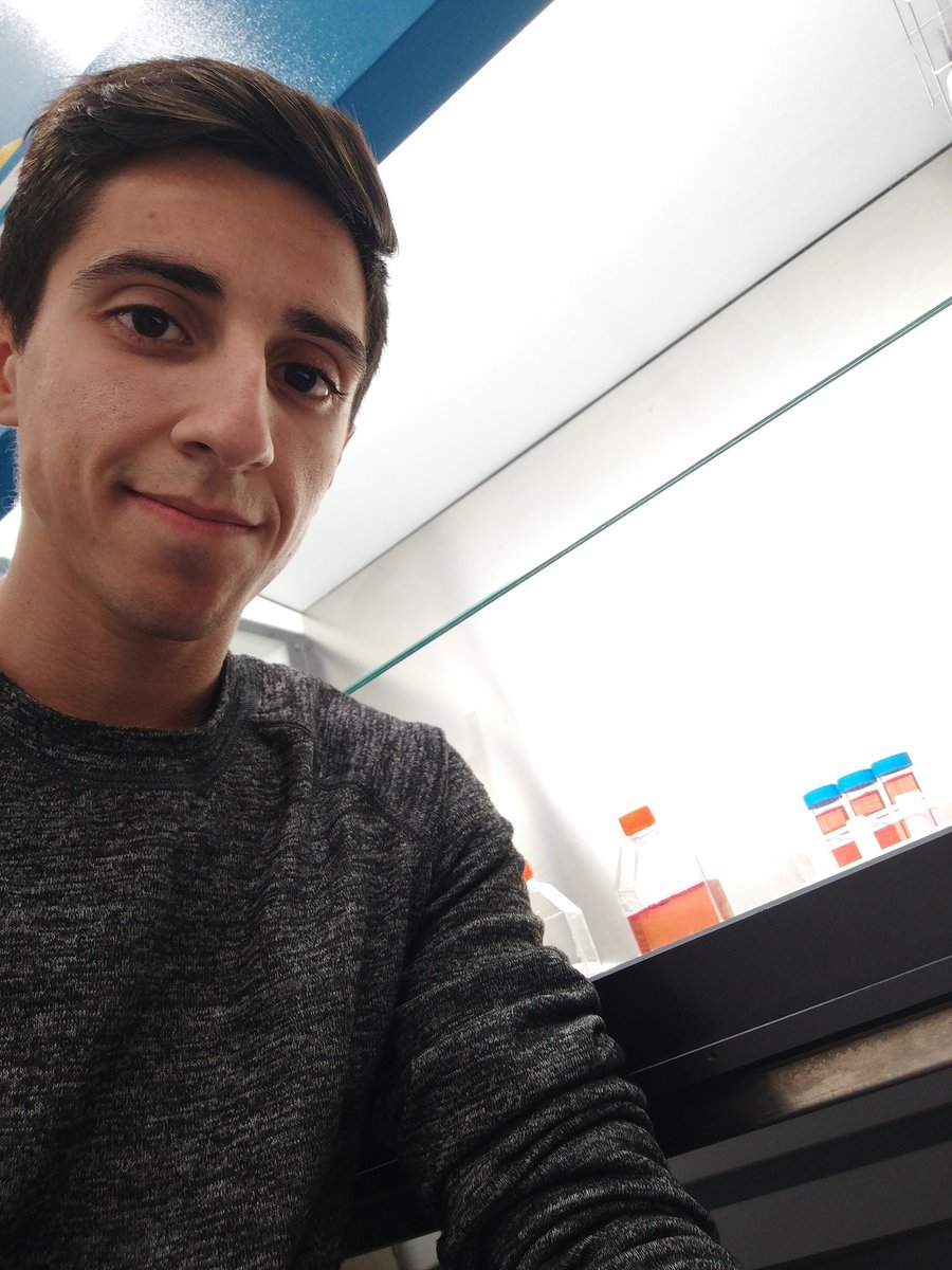 "It's not that I'm so smart, it's just that I stay with problems longer." - Albert Einstein

Persistence is the key to success.
#LateNight at #University.

#CancerResearch #Masters #CellCulture #Osteosarcoma #Plating #UniversityOfMalta