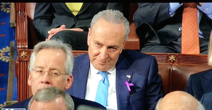 RoseDru63's tweet photo. Just look at it his face! If this is not the face of “EVIL” I don’t know what is! He is scary he is so vile! You cannot be seriously listening and supporting this demon! #DemonDems #SatanicSchumer I don’t know but he sure looks evil to me! https://t.co/VVVBORW3lP