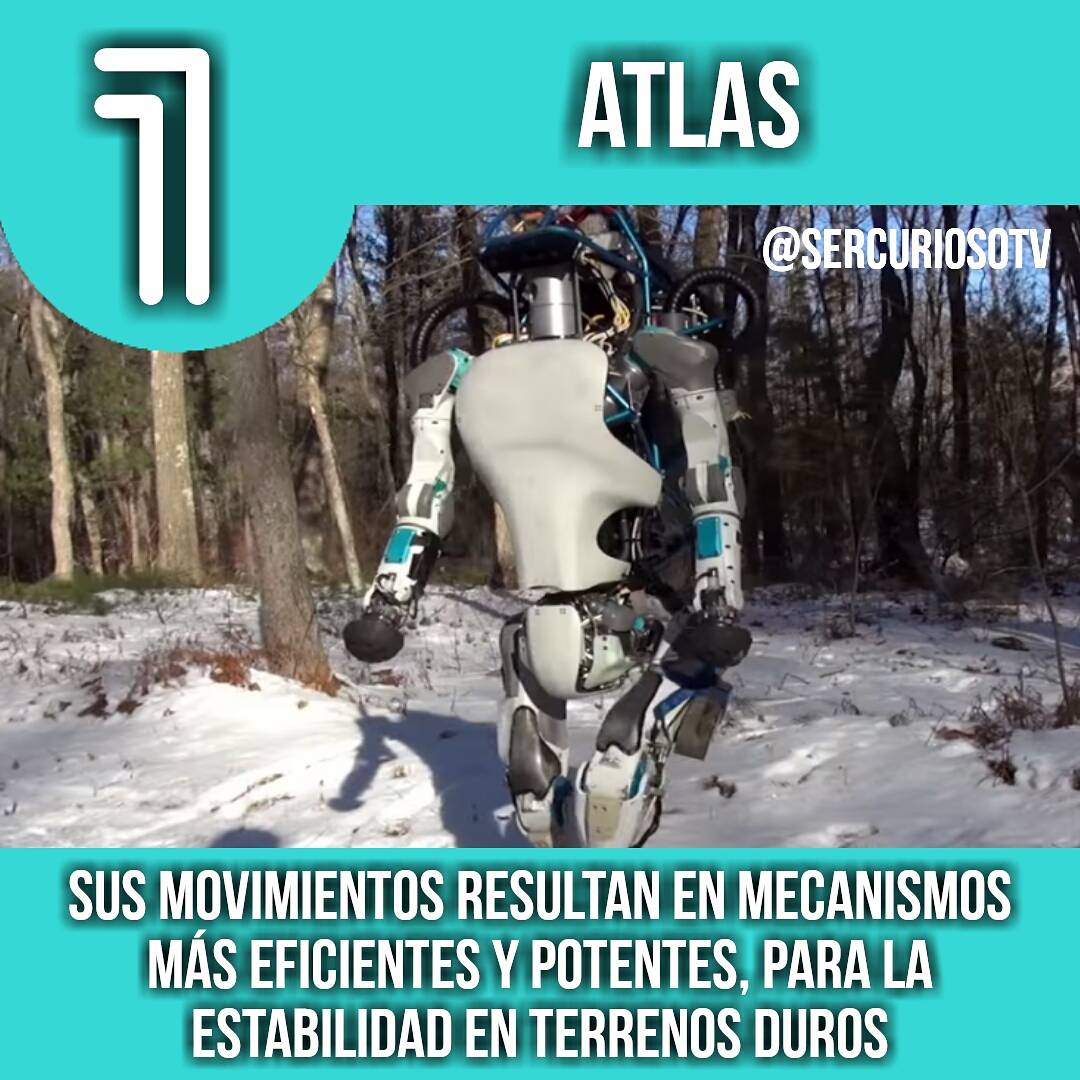 TOP 4 ROBOTS MAS AVANZADOS
.
hoy les tenemos este gran top, en el cual me esforze en hacer, toda la informacion para ustedes👏, siganme para mas 💪..disfrutenlo👋👋
.
#felizsabado #felizdomingo #robots #robotica #bostondynamics #top5 #tecnologia #tecnology