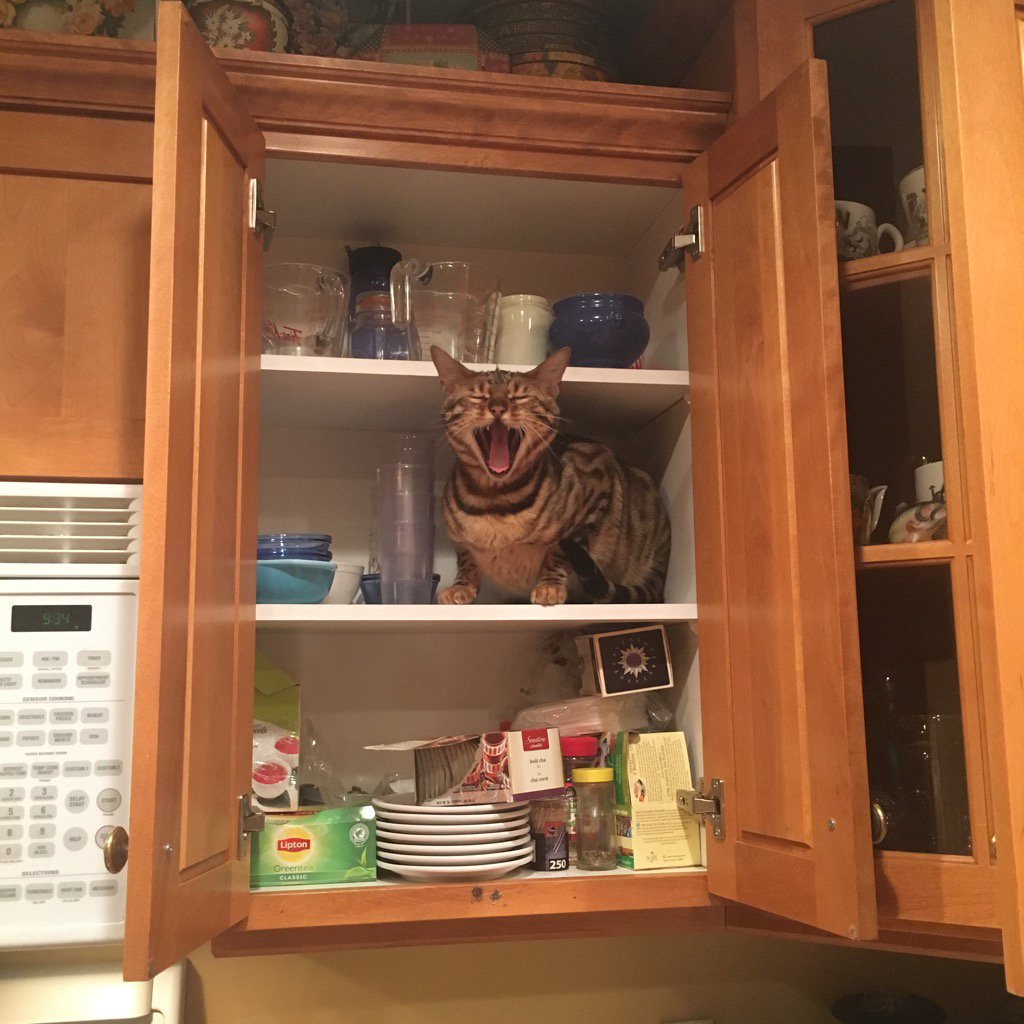 Raddad999's tweet photo. Carl shows his displeasure at being accidentally closeted :) https://t.co/CgHNKaBzqn