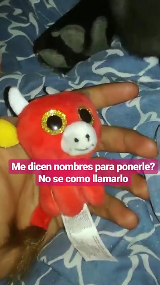 Flantasma1's tweet photo. se lo comio el perro estoy tentado https://t.co/SgPWVKpBq4