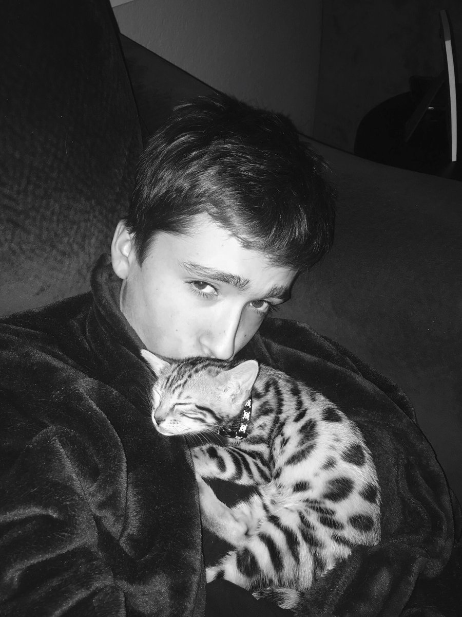 Tora_the_tiger's tweet photo. My brother came to visit. He loves me and I love him. 😍😻 #love #siblingrivalry #caturday #CatsOfTwitter #catsofinstagram #Bengals #bengalkitten #torathetiger #relaxy #toocute https://t.co/feKCIrmTtu