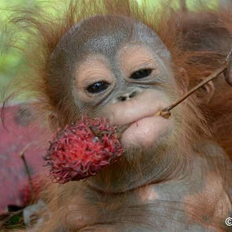 tlnuckles's tweet image. #NewProfilePic