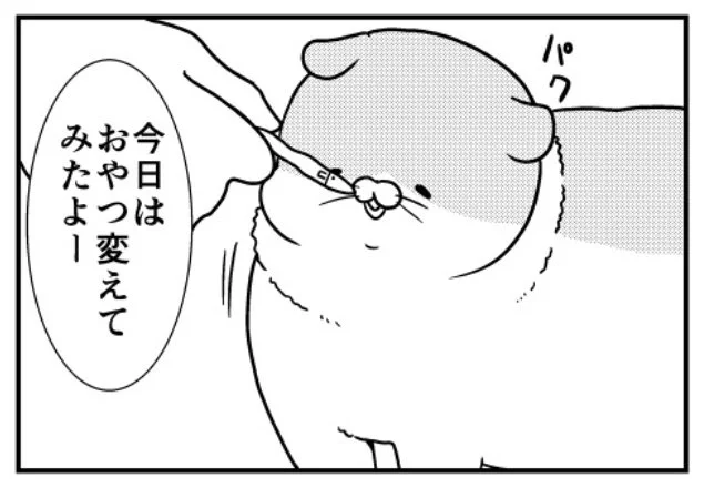 猫のきにゃと、ごとうさん(153) なぜ  #マイナビニュース
連載更新されました。きにゃは猫用チーズとかカニカマが好きで魚は嫌い 