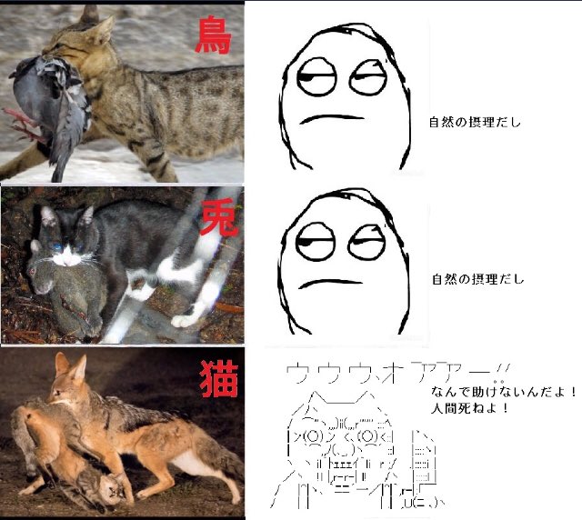 生き物苦手板用語bot Ikimononigatei1 Twitter
