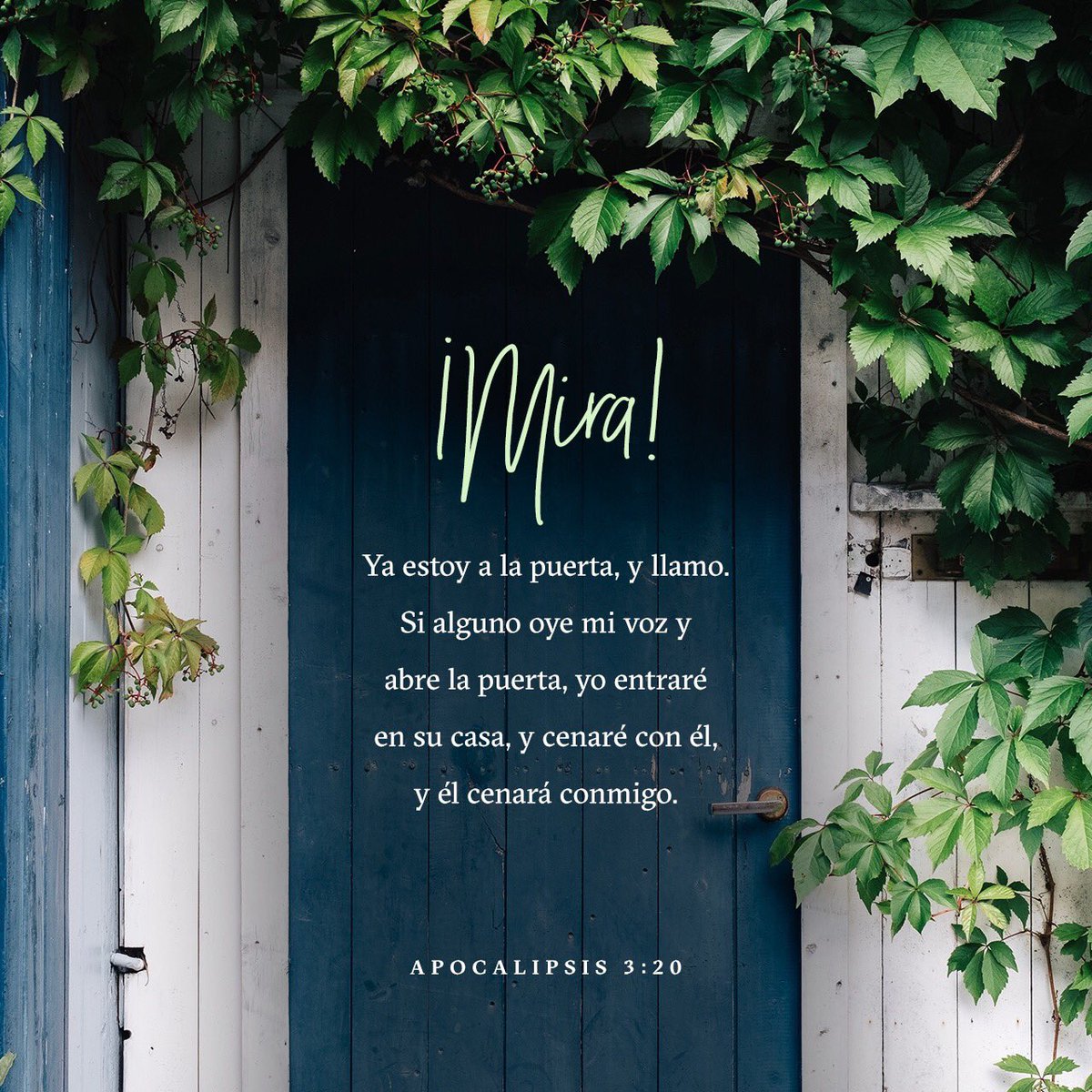 YouVersion_ES's tweet image. 📖 “He aquí, yo estoy a la puerta y llamo; si alguno oye mi voz y abre la puerta, entraré a él, y cenaré con él, y él conmigo.”
&amp;lt;&amp;lt;Apocalipsis 3:20 RVR1960&amp;gt;&amp;gt;

🔗 bible.com/149/rev.3.20.r…

#youversion_es #versiculodeldia #youversion 

👉🏻 Facebook: goo.gl/Wvri6W