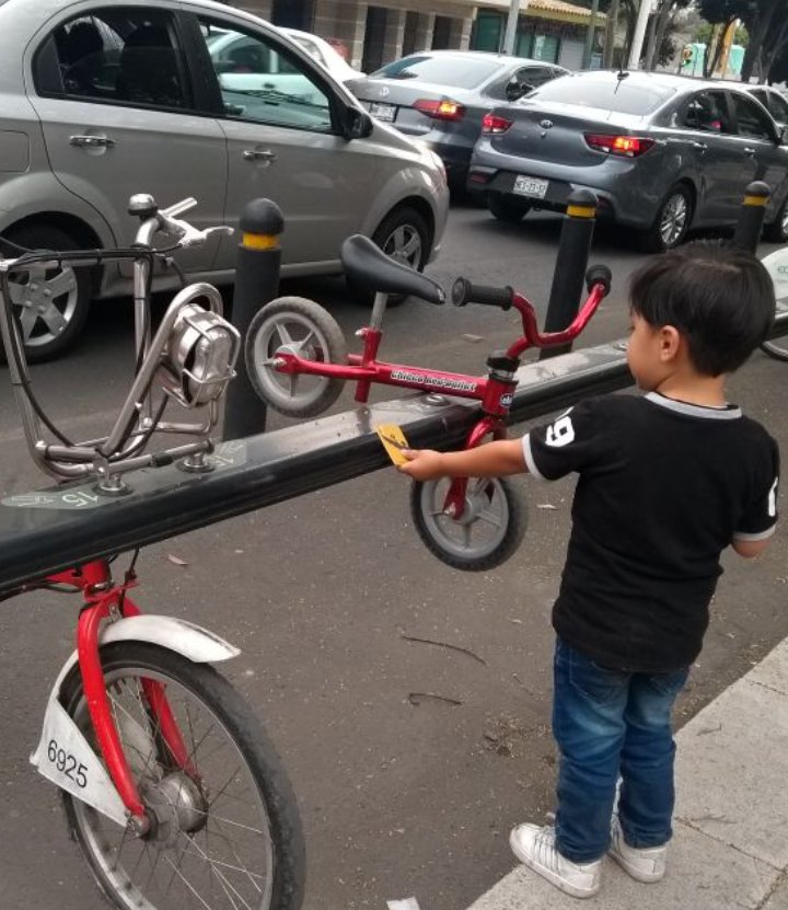 tachomx's tweet photo. Imagen como ésta me hace pensar que hay posibilidad de un mundo mejor.
#MejorEnBici 🚲 https://t.co/IXGvSIx72H