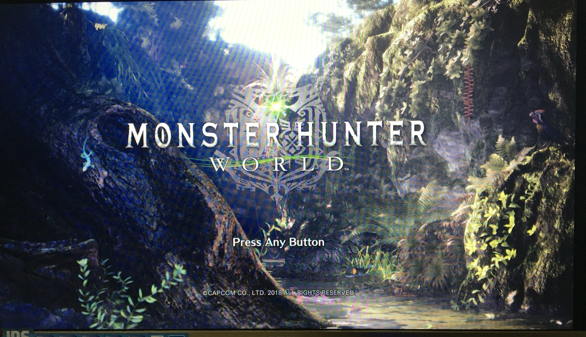 Gvg Np Monsterhunter Mhw啟動 503 Mw1 5038f Mw1 Mw1 Mhw關閉