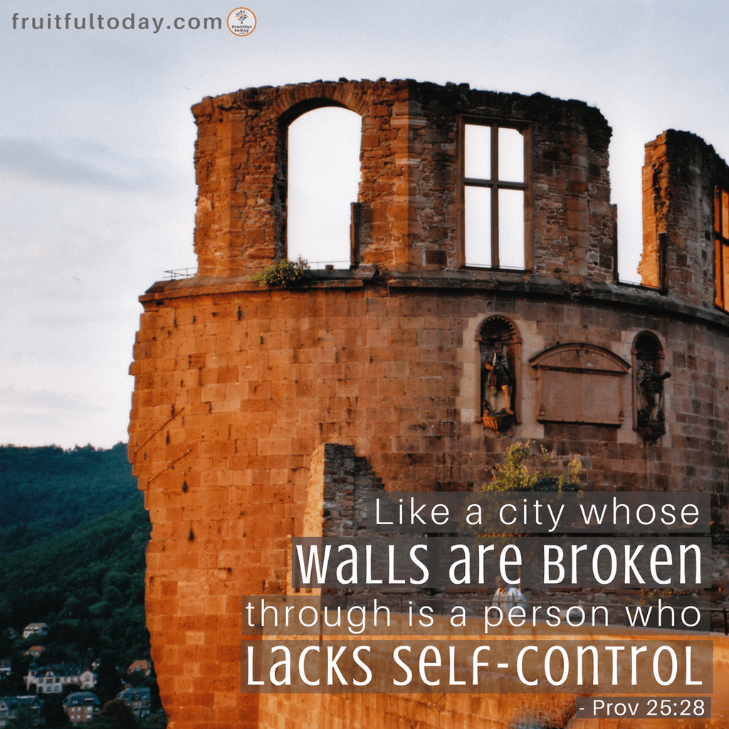 Self-control (Prov 25:28) fruitfultoday.com/self-control-p…