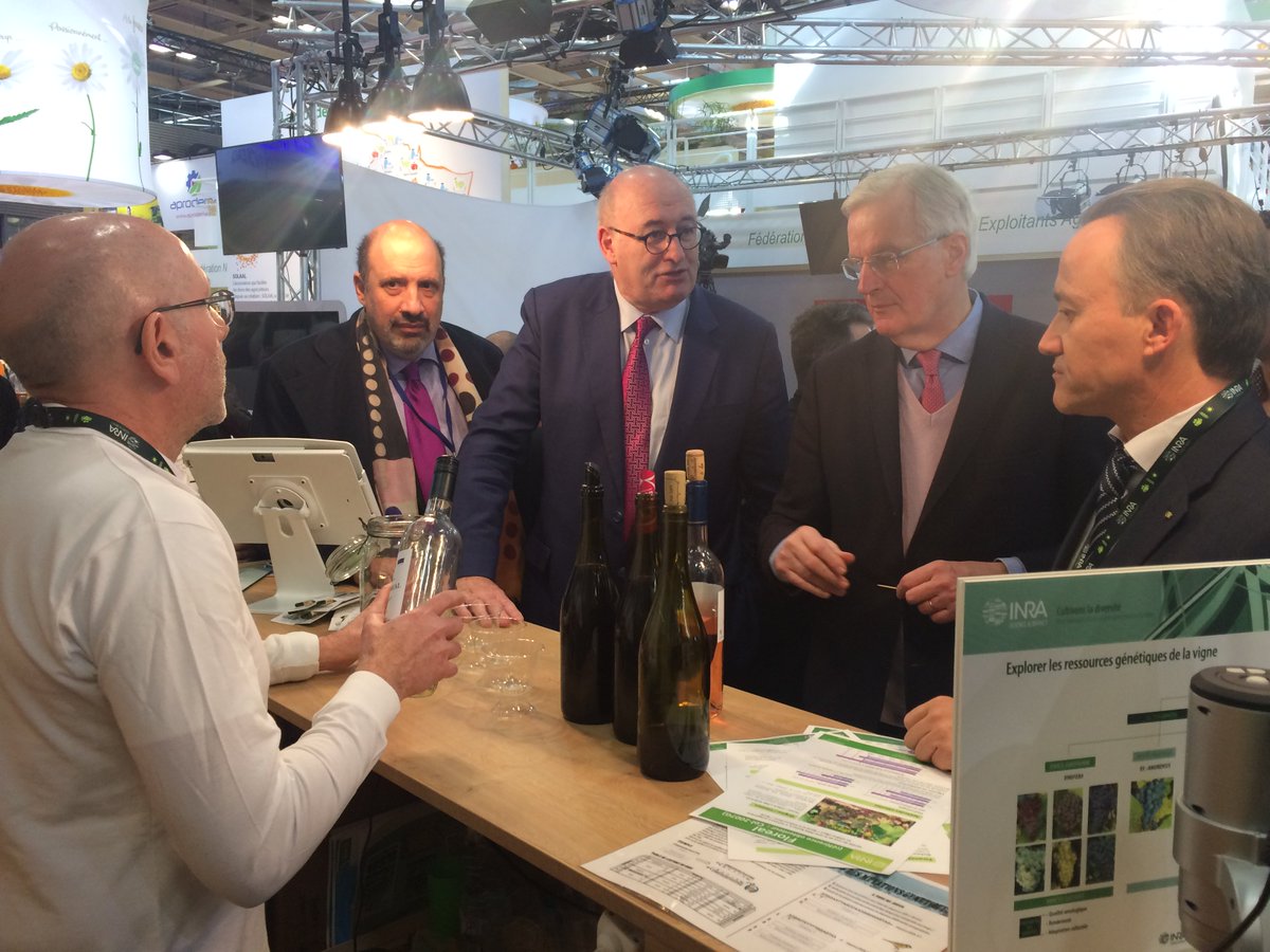 INRAE_Colmar's tweet photo. #SIA2018 : @PhMauguin "avec ces nouvelles variétés de #vignedurable on peut réduire de 80% l'utilisation des traitements #phytosanitaires" https://t.co/GzYUaVaH18