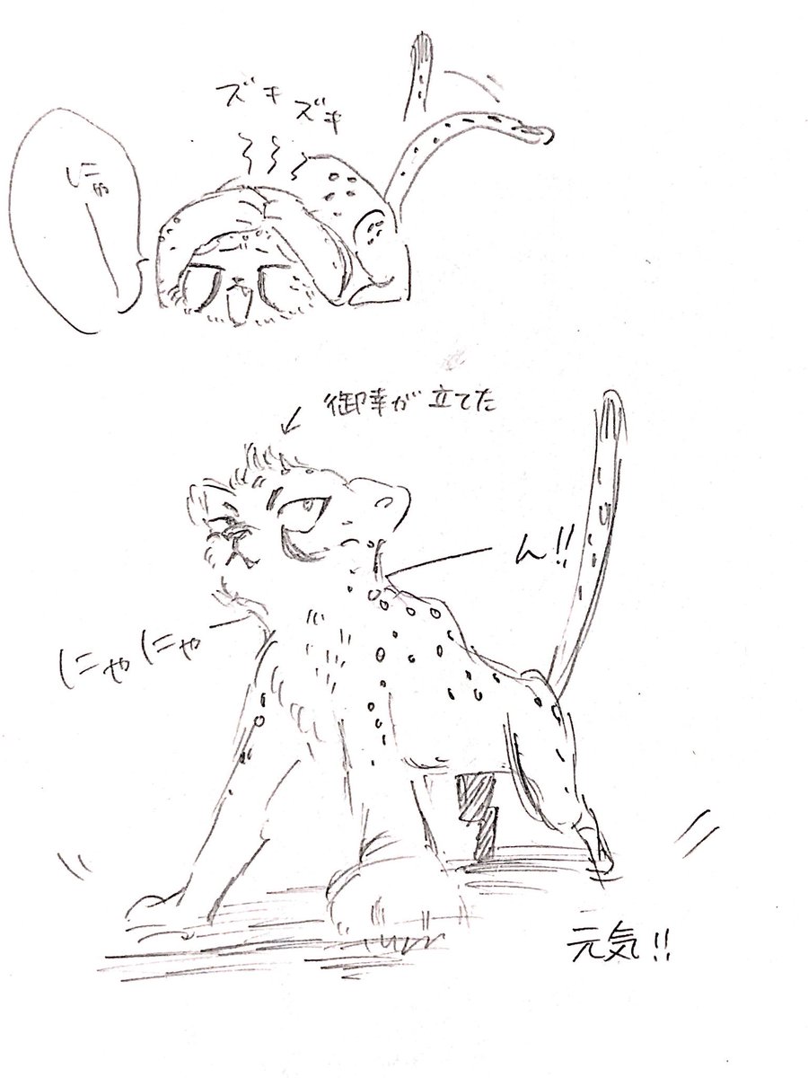 \\\\ にゃにゃーーーーん!!//// 