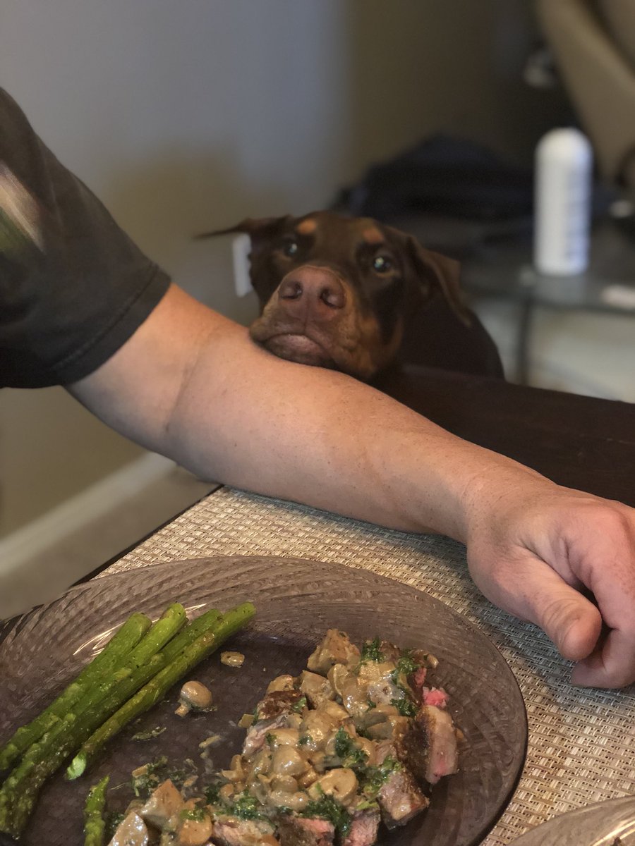 ChristServant17's tweet photo. “Daddy, I know the doctor said I have to be on a bland diet, but really...how can you eat your steak without me?” ~#izzybella 😍💕 https://t.co/MA74UutBhA