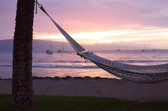 CoconutCondos's tweet photo. Swayinโ for sunset ๐
.
.
.
#coconutcondos #staywithus #wishyouwerehere #maui #venturehawaii #hawaiilife #islandstyle #getoutside #airbnb #adventureawaits #vrbo #getaway #vacationmode #paradise #comestaywithus #vacationrentals #optoutside #watercolorsky #destination #sunsetaโฆ https://t.co/pK75fG4gJq