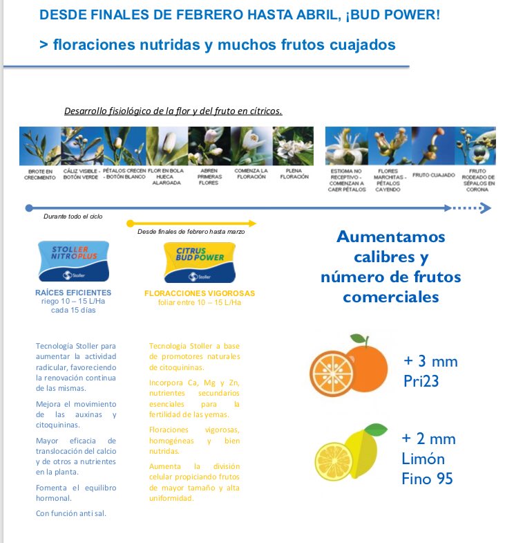 FitopalmaSL's tweet photo. Influye en la cosecha de los cítricos a partir de este estadio de floración extra temprano. Lo comprobarás !!!! https://t.co/TsN6D8znvW
