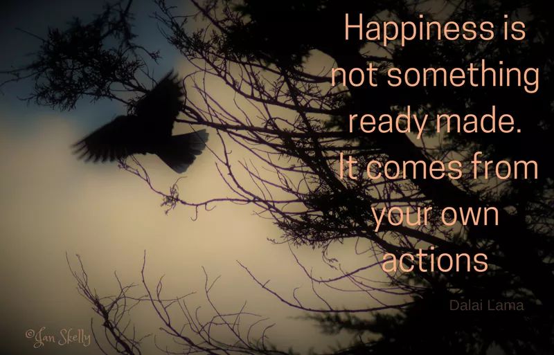 Happiness is not something ready made, it comes from your own actions #happiness #inspiration #NoteToSelf #photography #DalaiLama #sundaymotivation