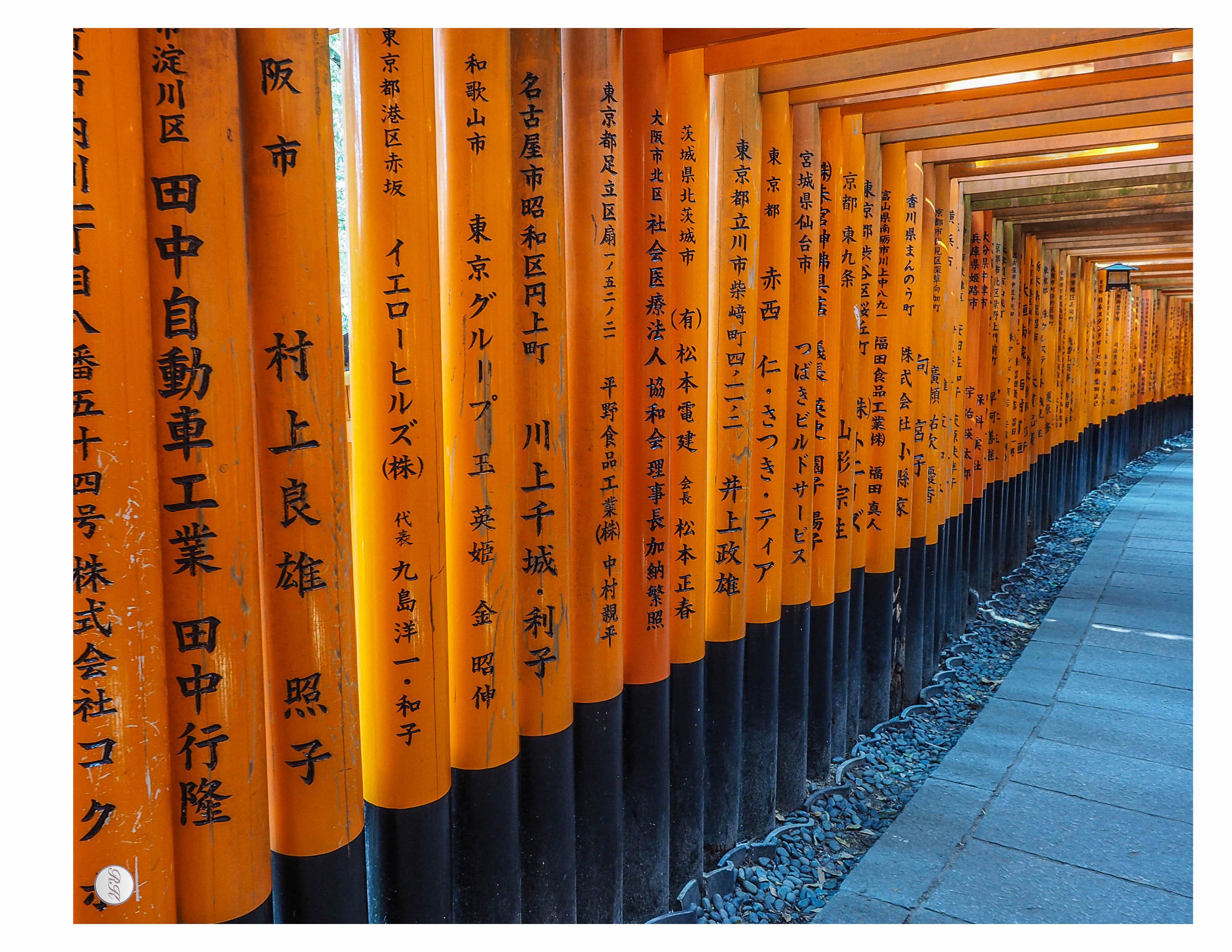 Raghu Kolluri Great Jet08 Meeting Its Over Time To Engage The Right Side Of My Brain Awesome Beauty Of Osaka Kyoto Fushimiinari Toriigates Kinkakuji Bambooforest Travelphotography Japan T Co 8og3ubdt5m